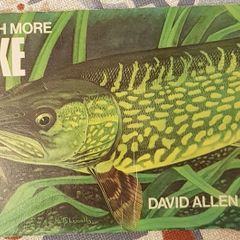 Catch More Pike by David Allen
