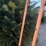 Mirror Image 7
