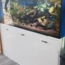 Fish tank and stand Image 6