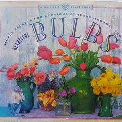 Beautiful Bulbs