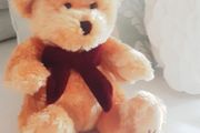 Love Me Teddy Bear