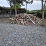 Free Timber Image 2