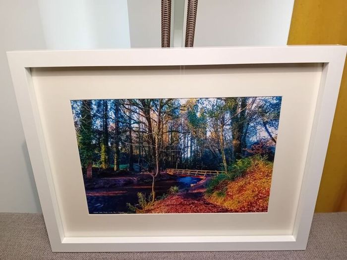 Glenbower Woods