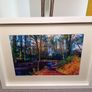 Glenbower Woods Image 2
