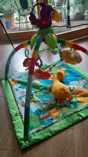 Fisher Price Musical Playmat