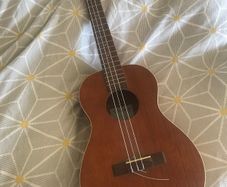 Baritone Ukelele missing a string