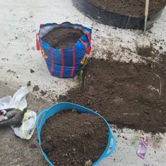 Soil