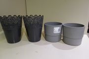 Plant Pot