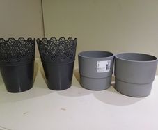 Plant Pot