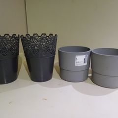 Plant Pot