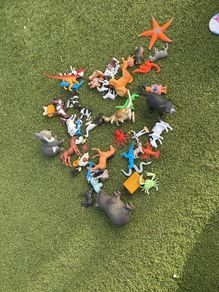 toy animals