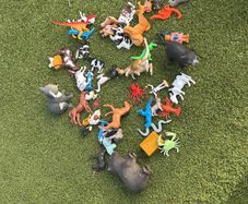 toy animals