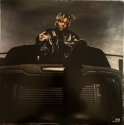 Juice WRLD  Fighting Demons  X2LPS