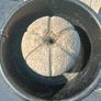 garden fountain Image 2