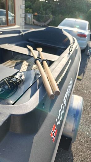 Boat, Engine and Trailer - Pioneer Steady 400