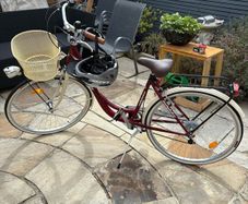 ladies indiana bike