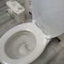 saniflo and toilet Image 3