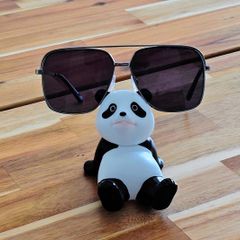 sun glasses