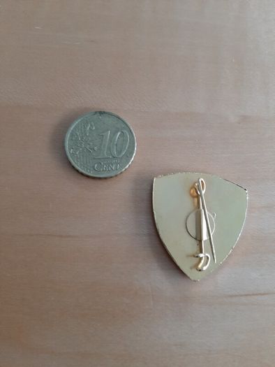 Italian pioniere badge