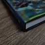 An Illustrated History of the Gaa ! Hardcover ! 2005 ! by Gill & Company ! Image 4