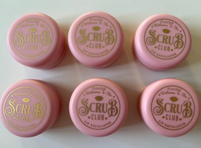 10 Item PLouise lip bundle