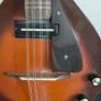 eko electric mandolin Image 7