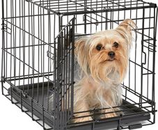 MidWest iCrate 18 inch Folding Dog Crate with Divider and Leak-Proof Tray - Brand New