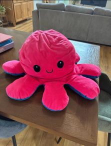 Giant Octopus