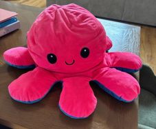 Giant Octopus