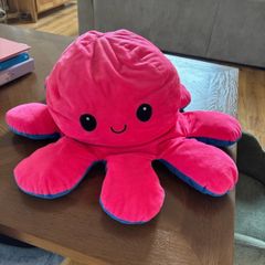 Giant Octopus