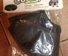 Large Inflatable Collar
