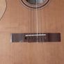 Guitar 1/2 size with padded case Image 4