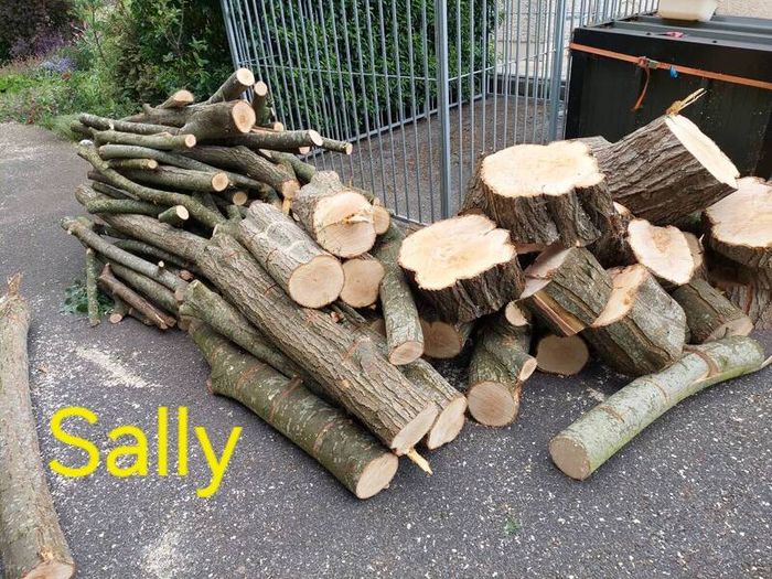 Firewood