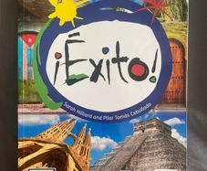 Exito leaving cert Spanish