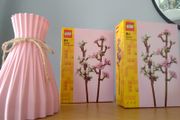 LEGO Botanicals Flower Sets