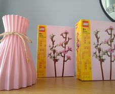 LEGO Botanicals Flower Sets