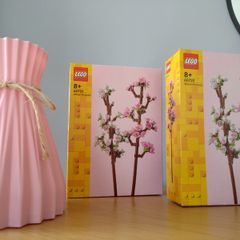 LEGO Botanicals Flower Sets