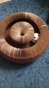 Cat toy scratch toy