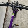 Frog Bike Image 2