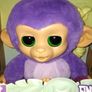 New Fingerlings care n cuddles monkey Image 4
