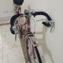 Dawes womens racer Image 3