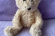 Cream Teddy Bear