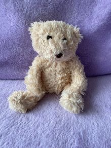 Cream Teddy Bear