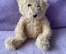 Cream Teddy Bear