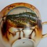 Antique decorative  souvenir shaving  cup. Image 3