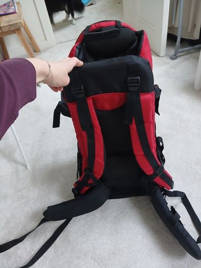 Baby/Toddler backpack carrier