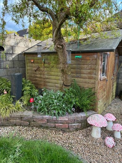 Garden Shed 8x8