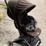 Cybex orfeo chocolate brown stroller buggy Image 3