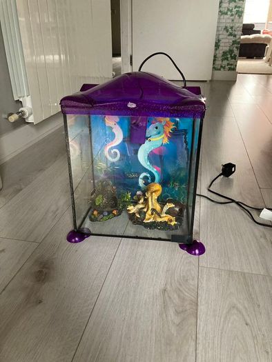 Fish Tank with Water Filtration Mini Aquarium
