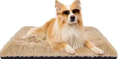Large Dog bed 68cm x89cm